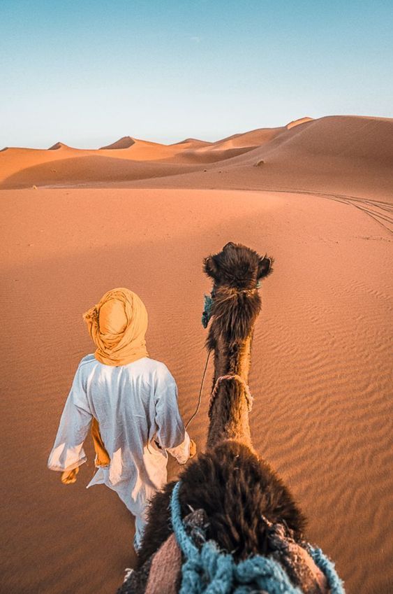Desert Sahara Maroc
