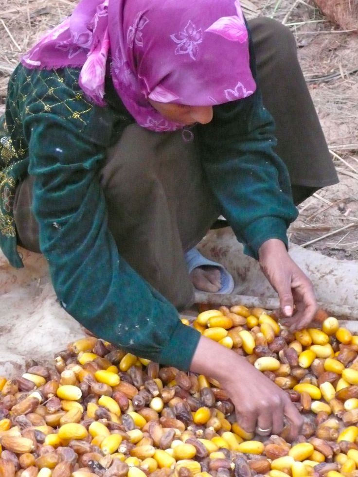 Each October the Festival of Dates is celebrated…