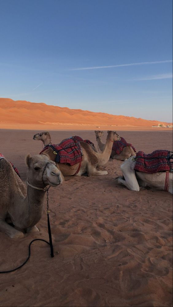 Morocco Yoga, Wellness & Adventure Retreat