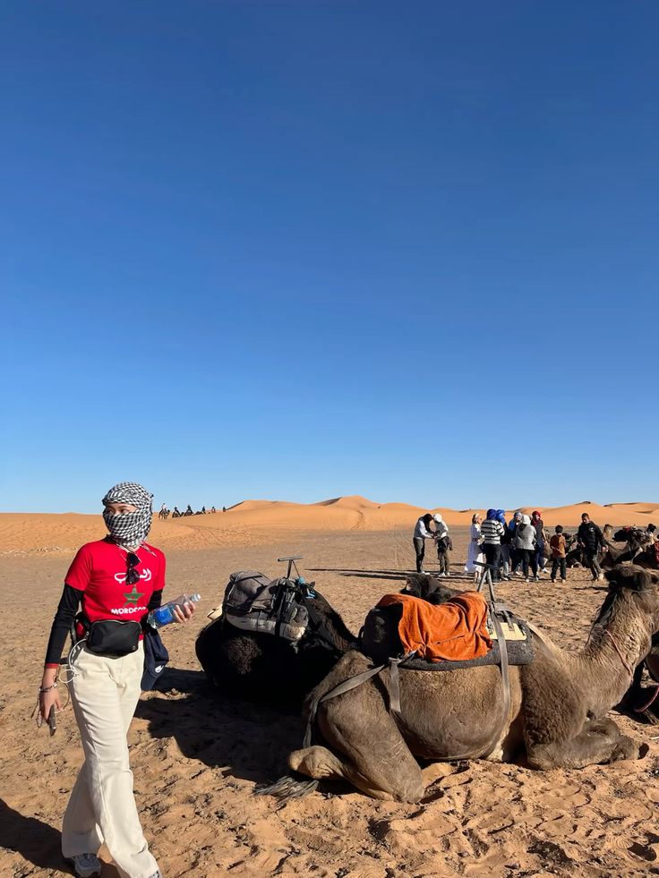 Morocco 🇲🇦 (1)