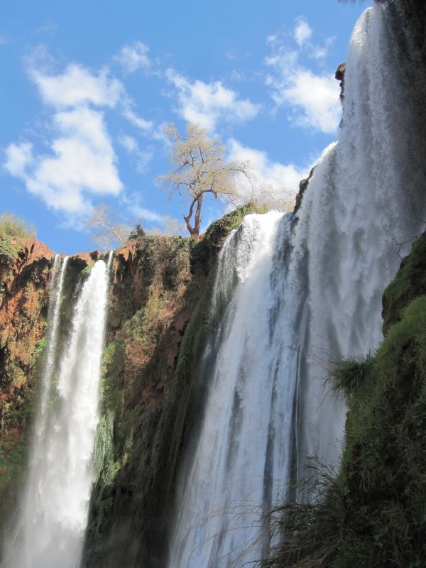 Ouzoud waterfalls – a day trip from Marrakesh
