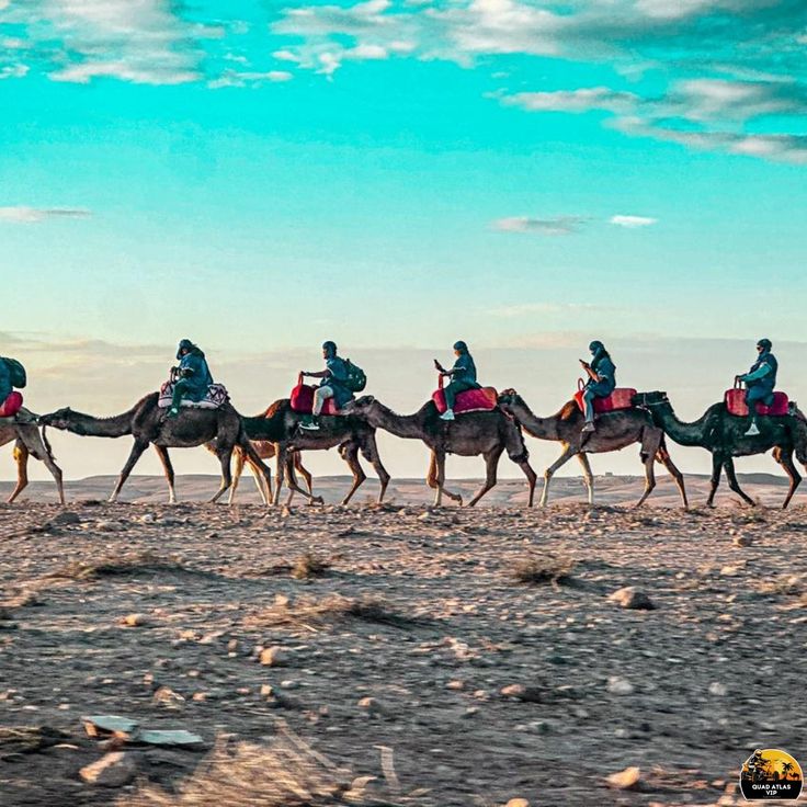 Agafay Desert Quad and camel ride and dinner… (1)