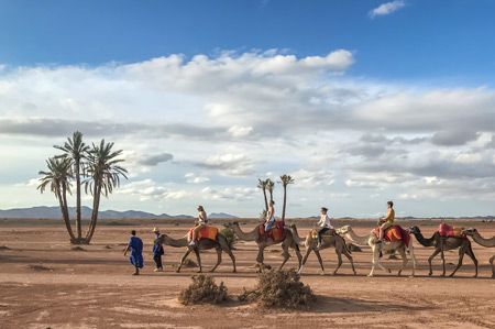 Camel Ride Marrakesh Desert and Palmgrove – Dunes & Desert