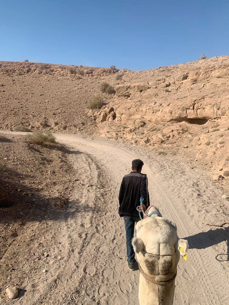 Camel Riding in the Agafay Desert, Morocco