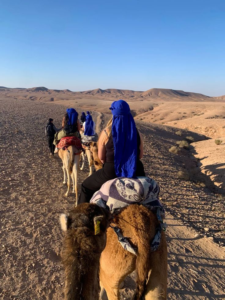 Camel ride agafay desert