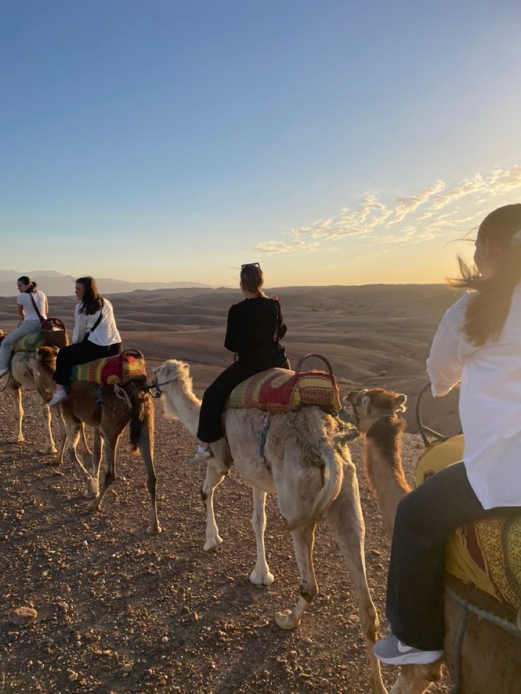 Camel riding in agafay desert, Marrakesh
