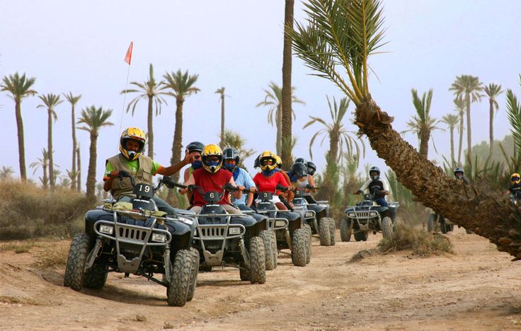 Quad à la palmeraie de Marrakech Découverte et…