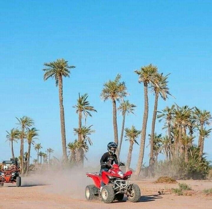 Quad et Buggy à Marrakech